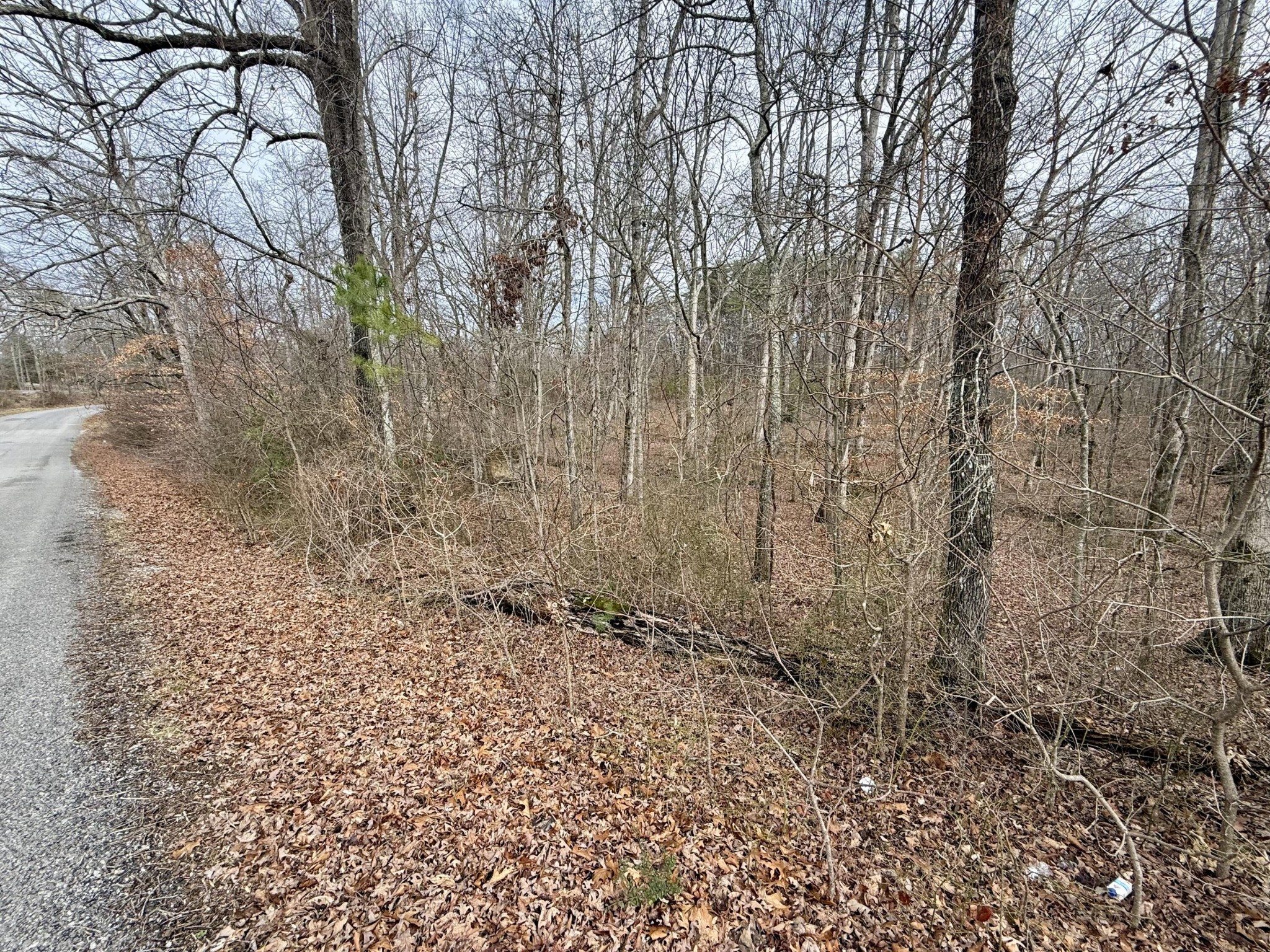 0 Monteagle Falls Road Monteagle, TN 37356 - Photo 35 of 37