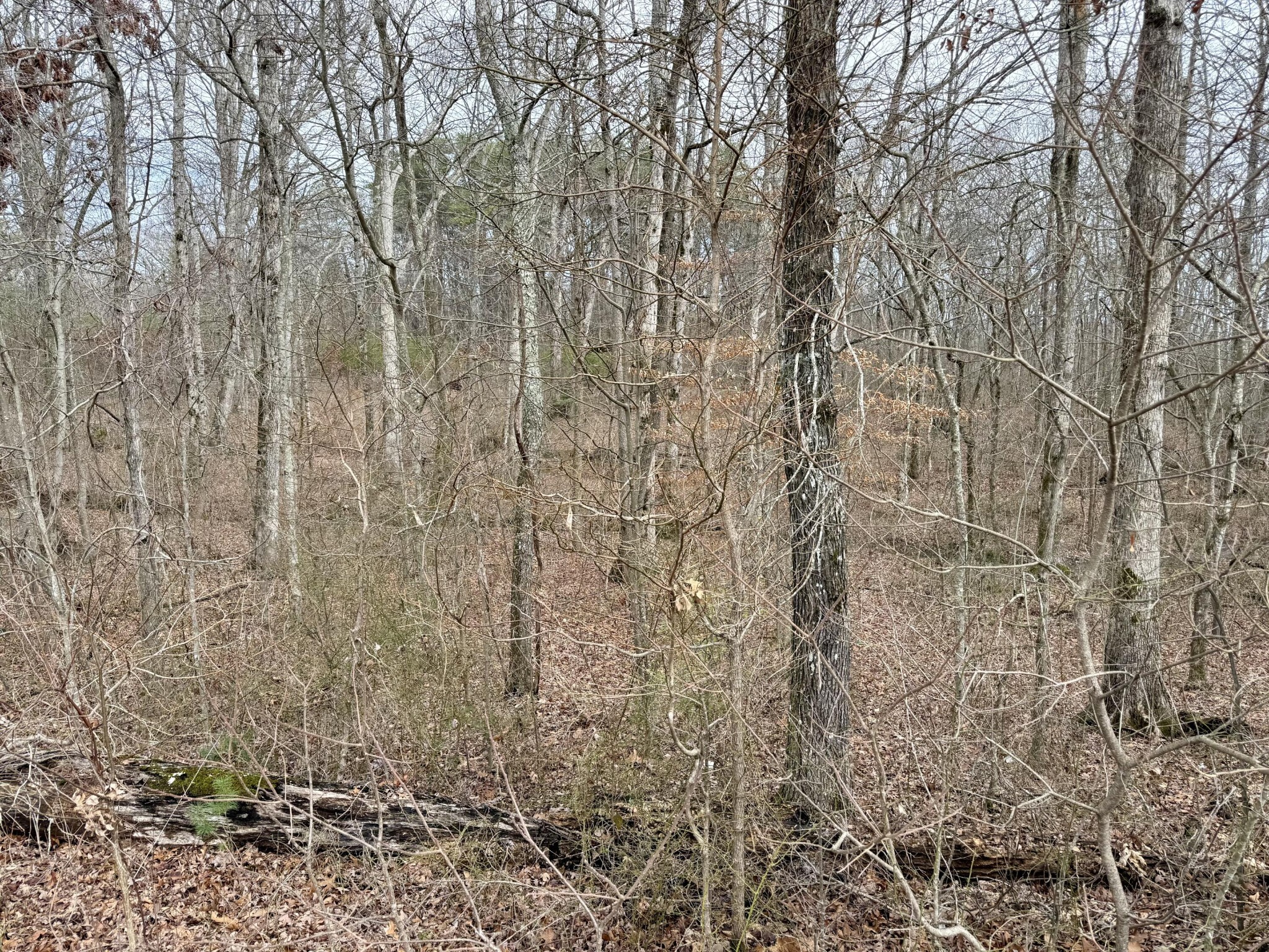0 Monteagle Falls Road Monteagle, TN 37356 - Photo 36 of 37