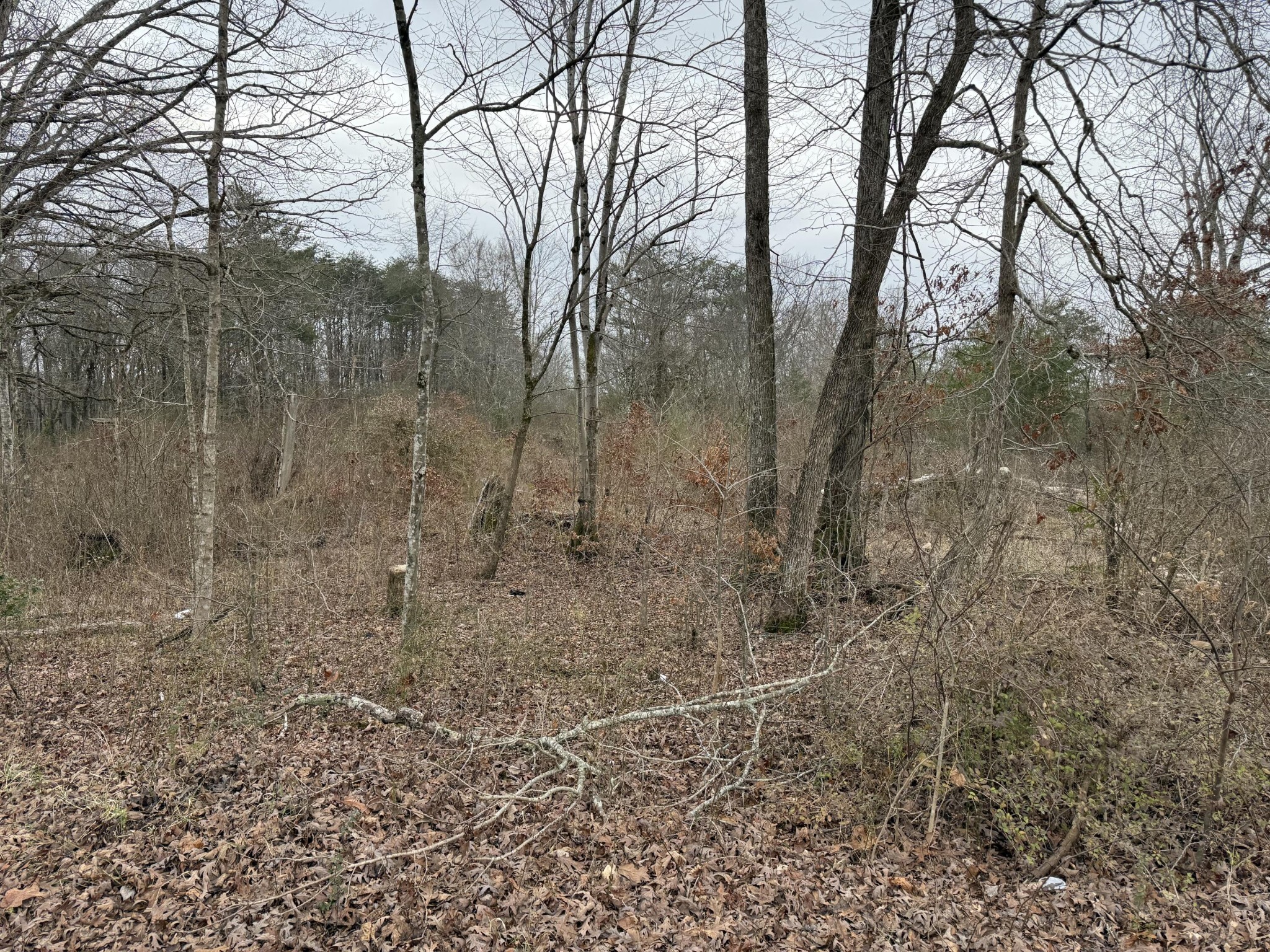 0 Monteagle Falls Road Monteagle, TN 37356 - Photo 6 of 37