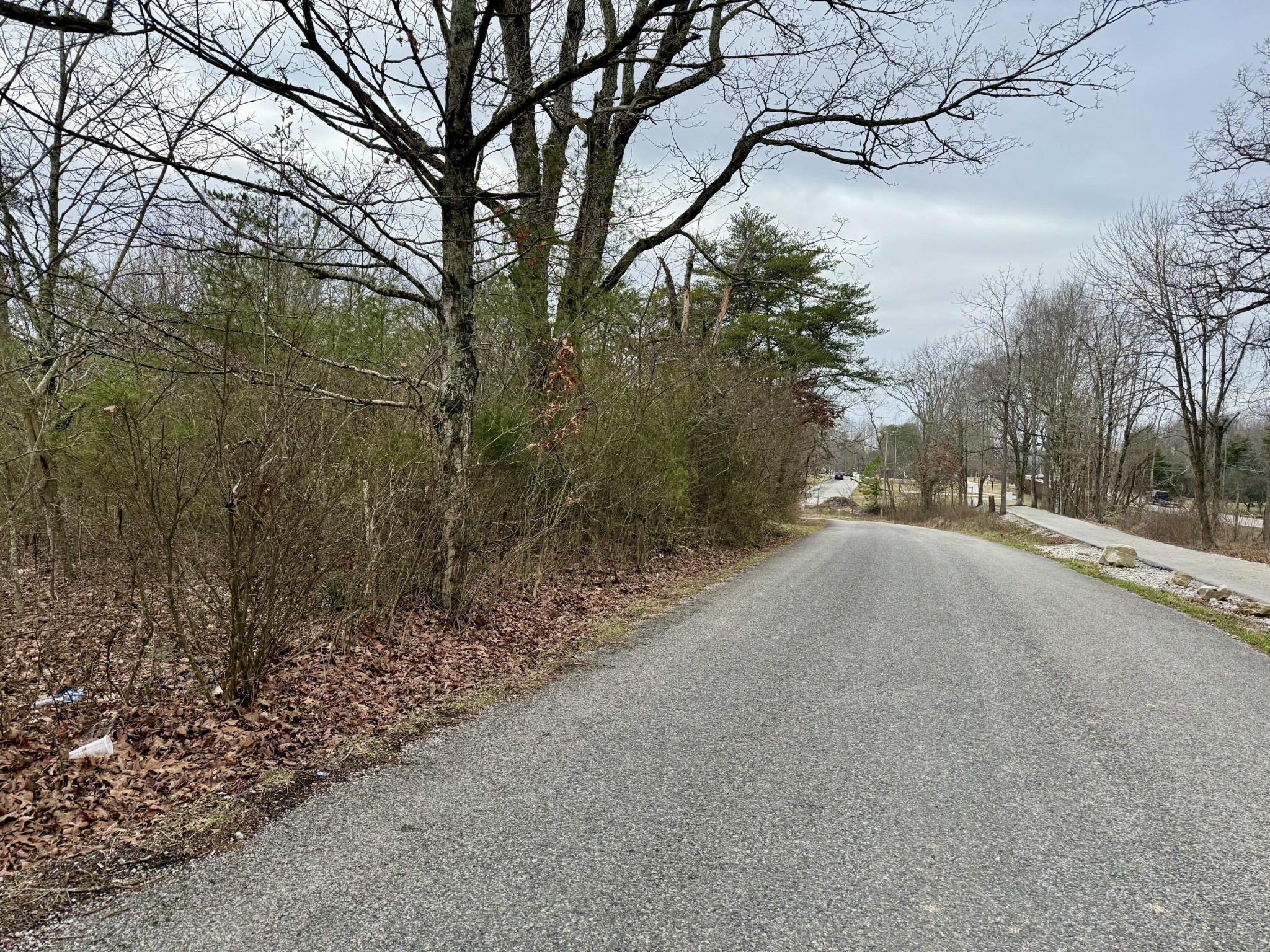 0 Monteagle Falls Road Monteagle, TN 37356 - Photo 8 of 37
