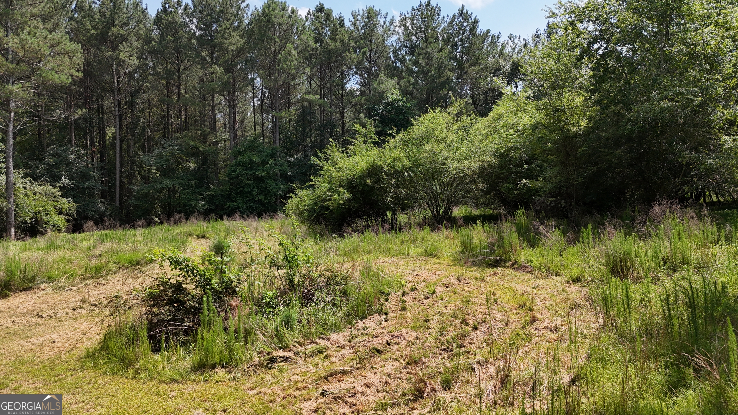 3729 Duncan Bridge Road Southwest Cornelia, GA 30531 - Photo 60 of 63