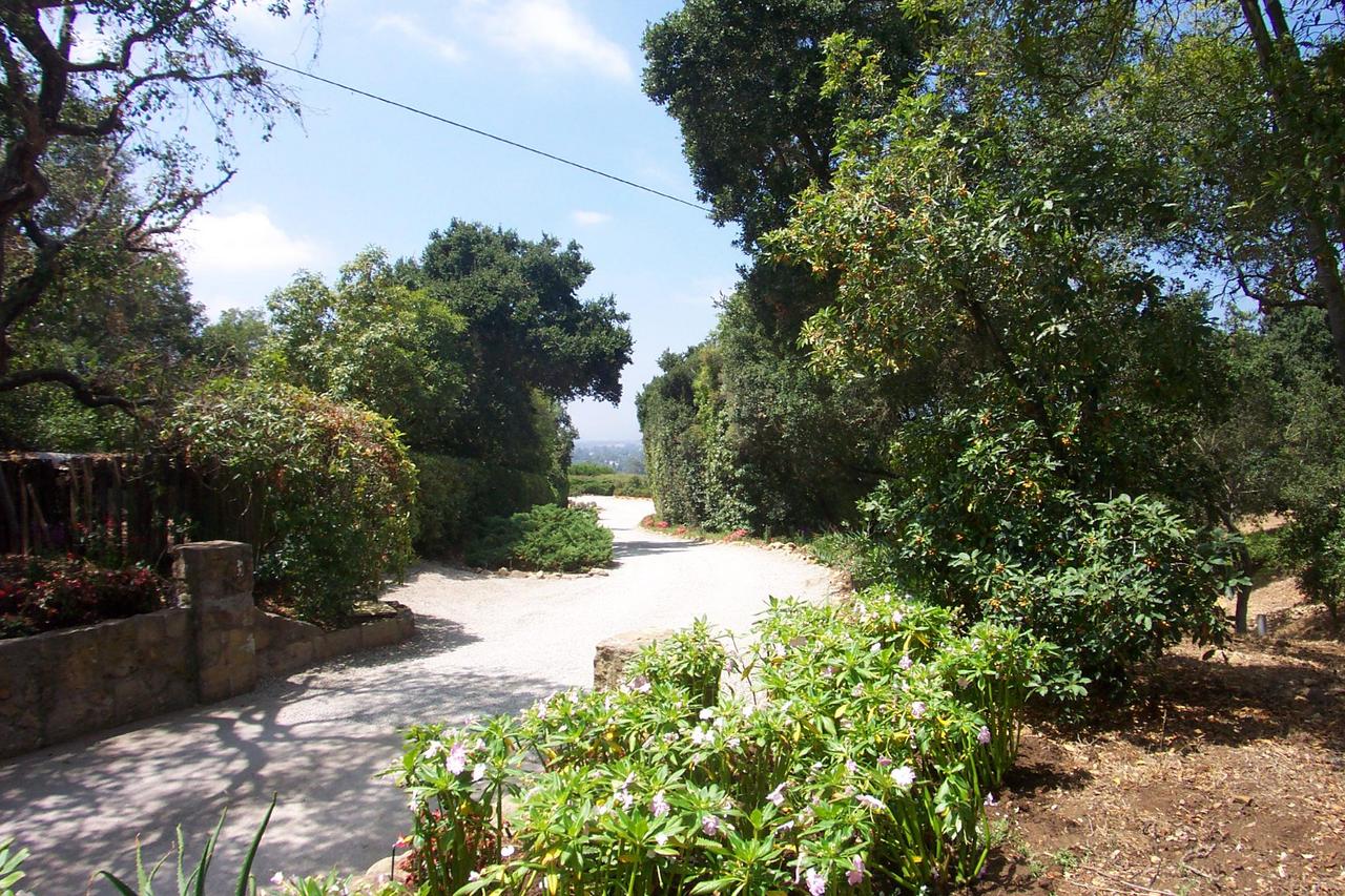 2174 Mission Ridge Road Santa Barbara, CA 93103 - Photo 12 of 12 a view of a yard with plants and trees