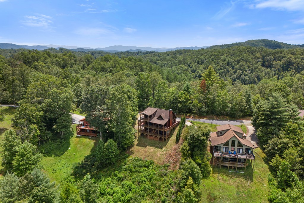 300 Knob Hl Road Marble, NC 28905 - Photo 43 of 46 Gallery Image 43