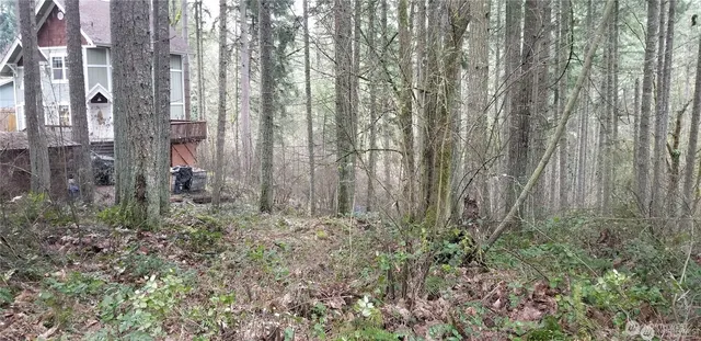 a view of a yard with plants and wooden fence