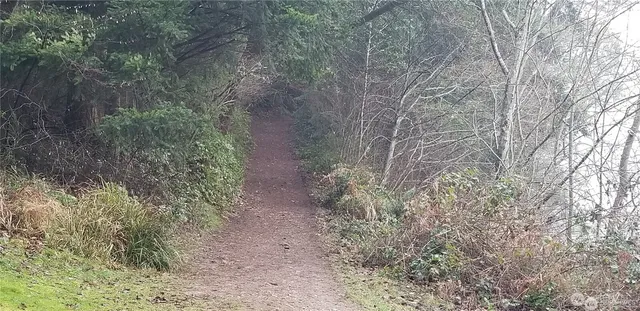 a view of outdoor space and yard