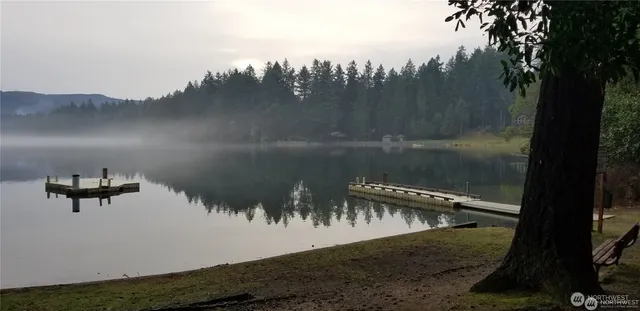 a view of house with backyard space and swimming pool