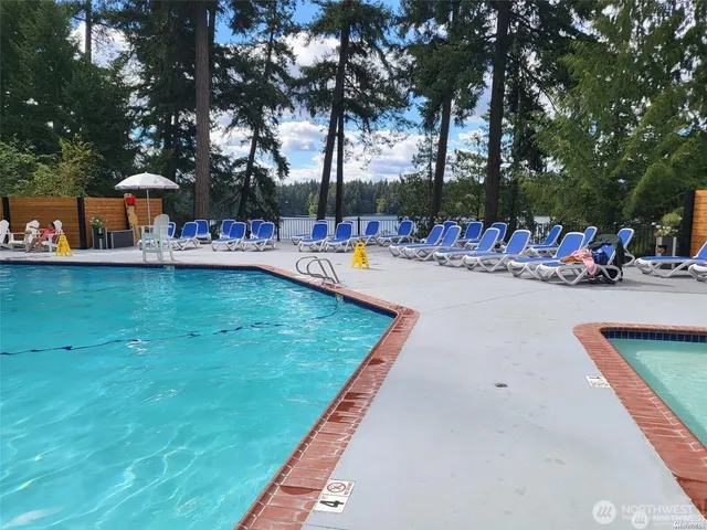 a view of tall trees with a yard