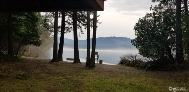 a view of river covered with trees