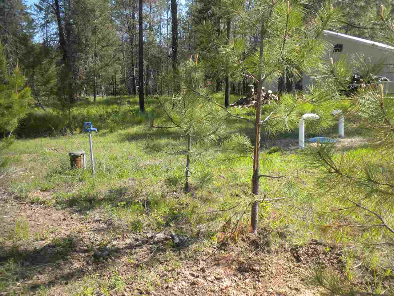 313 West Oregon Road Deer Park, WA 99006 - Photo 11 of 20 Gallery Image 11