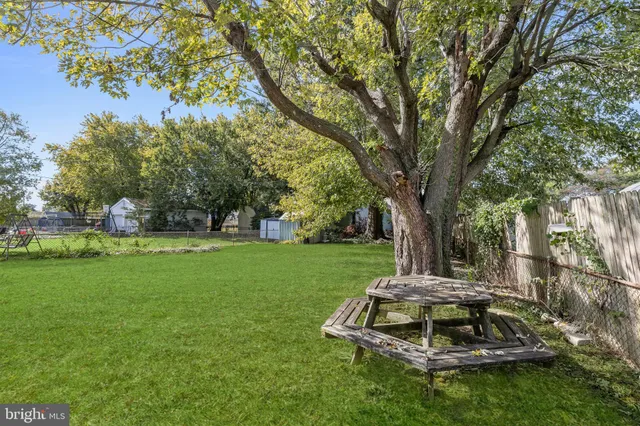 a view of a park with a tree