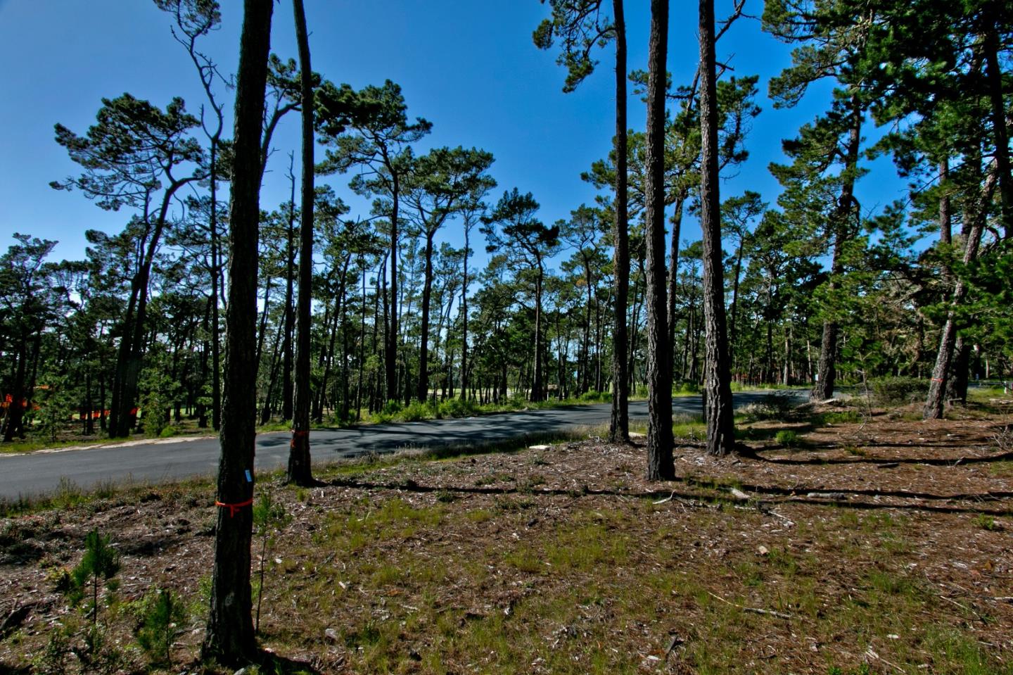 25 Poppy Ln. Lane Pebble Beach, CA 93953 - Photo 3 of 5 a view of a park