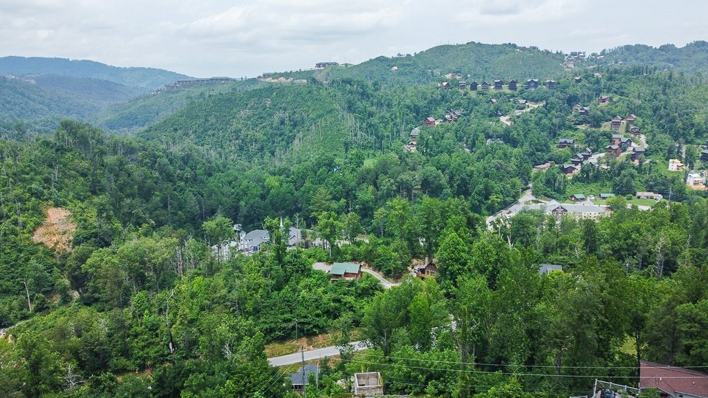 314 Raccoon Ridge Road Gatlinburg, TN 37738 - Photo 32 of 52 Gallery Image 32