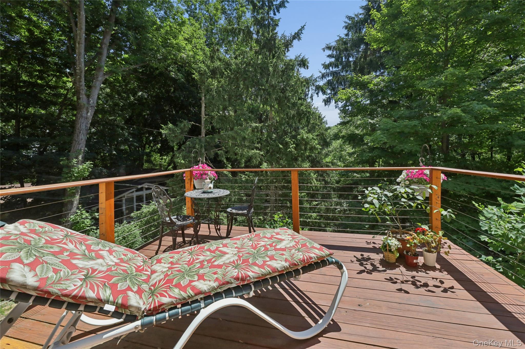 341 Call Hollow Road Stony Point, NY 10980 - Photo 11 of 46 Off kitchen balcony