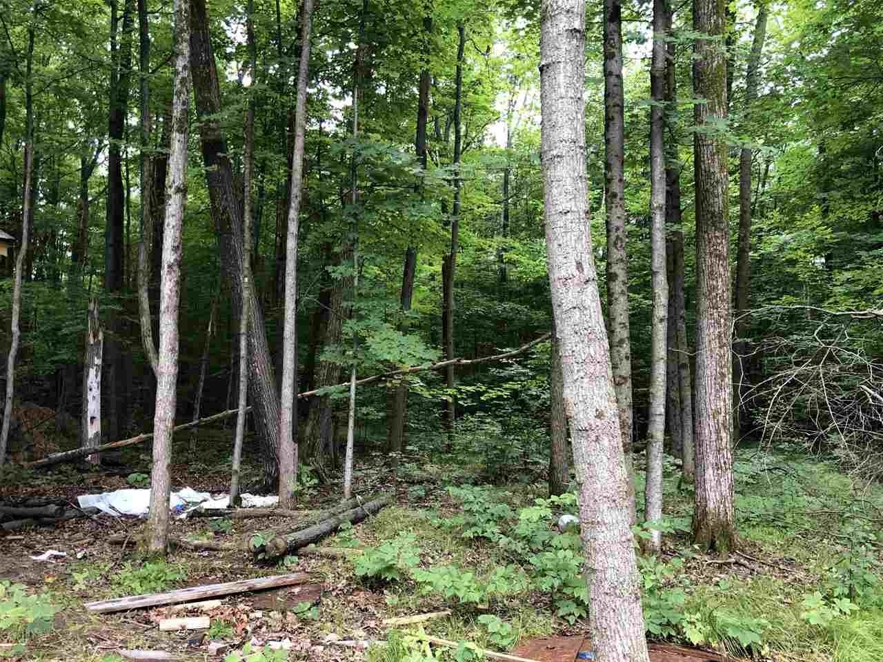 590 Piper Ridge, Unit 4 Middlebury, VT 05753 - Photo 4 of 10 Gallery Image 4