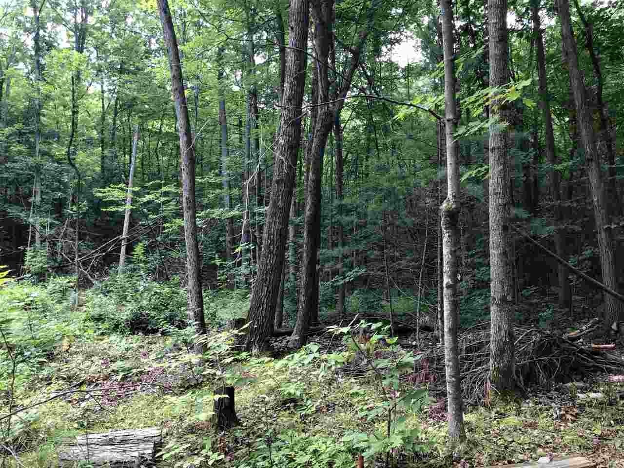 590 Piper Ridge, Unit 4 Middlebury, VT 05753 - Photo 6 of 10 Gallery Image 6