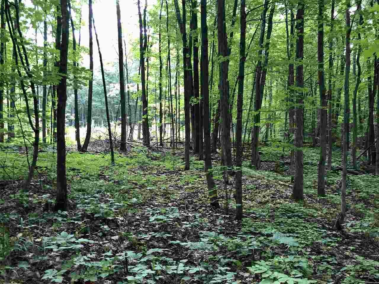 590 Piper Ridge, Unit 4 Middlebury, VT 05753 - Photo 8 of 10 Gallery Image 8