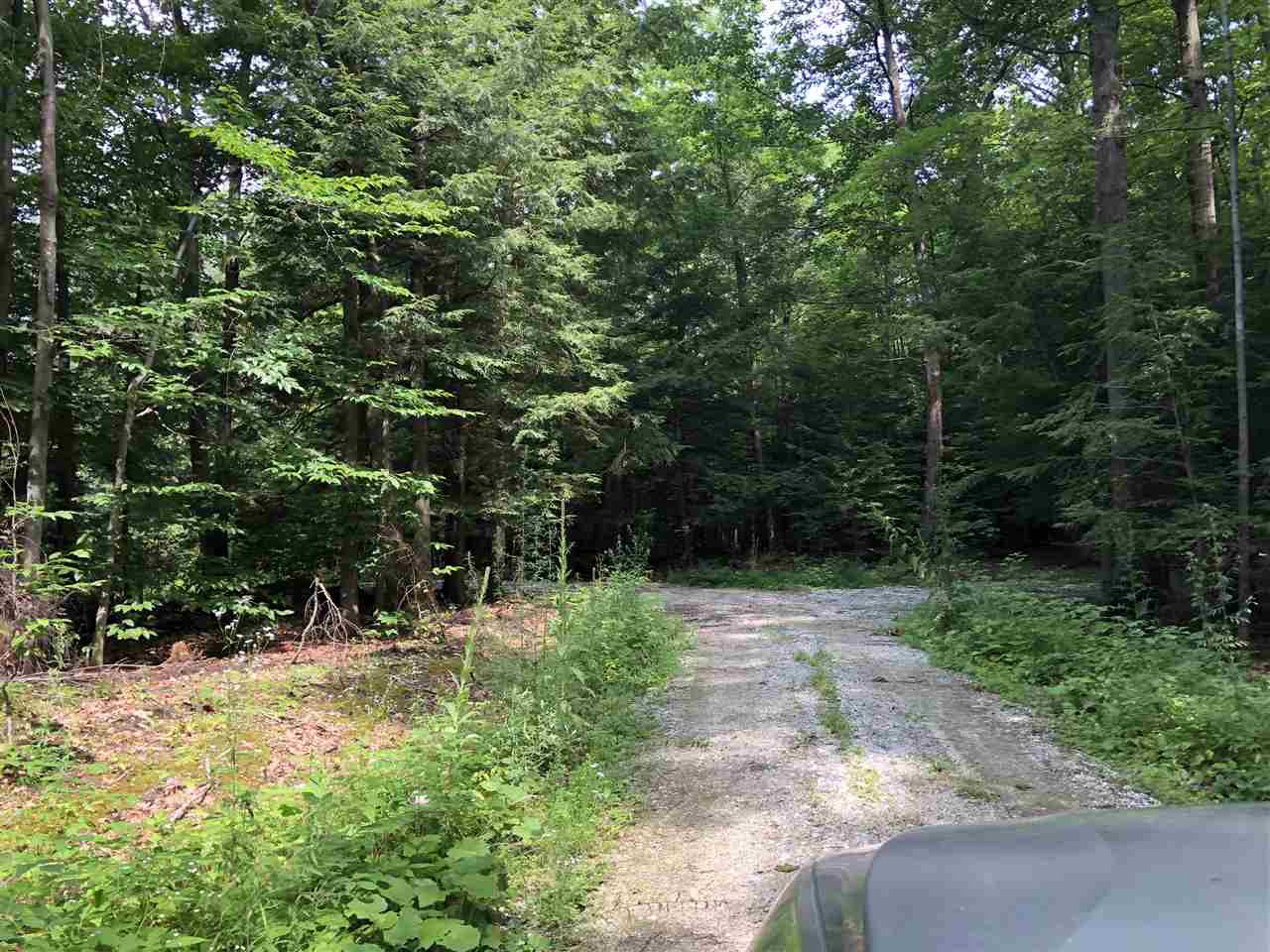 590 Piper Ridge, Unit 4 Middlebury, VT 05753 - Photo 10 of 10 Gallery Image 10