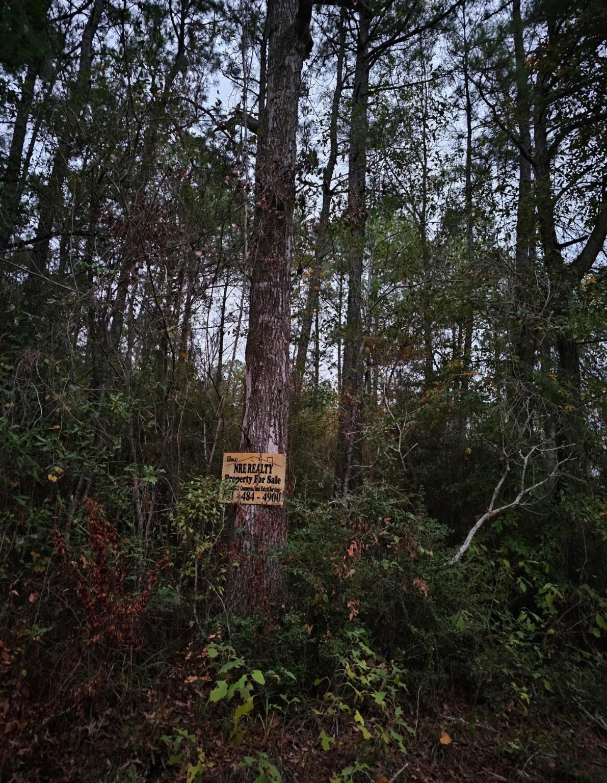 0 County Road 310 Jasper, TX 75951 - Photo 4 of 4