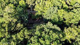 828 Chatham Road Rockingham, NC 28379 - Photo 45 of 45 l7GpyrmQ