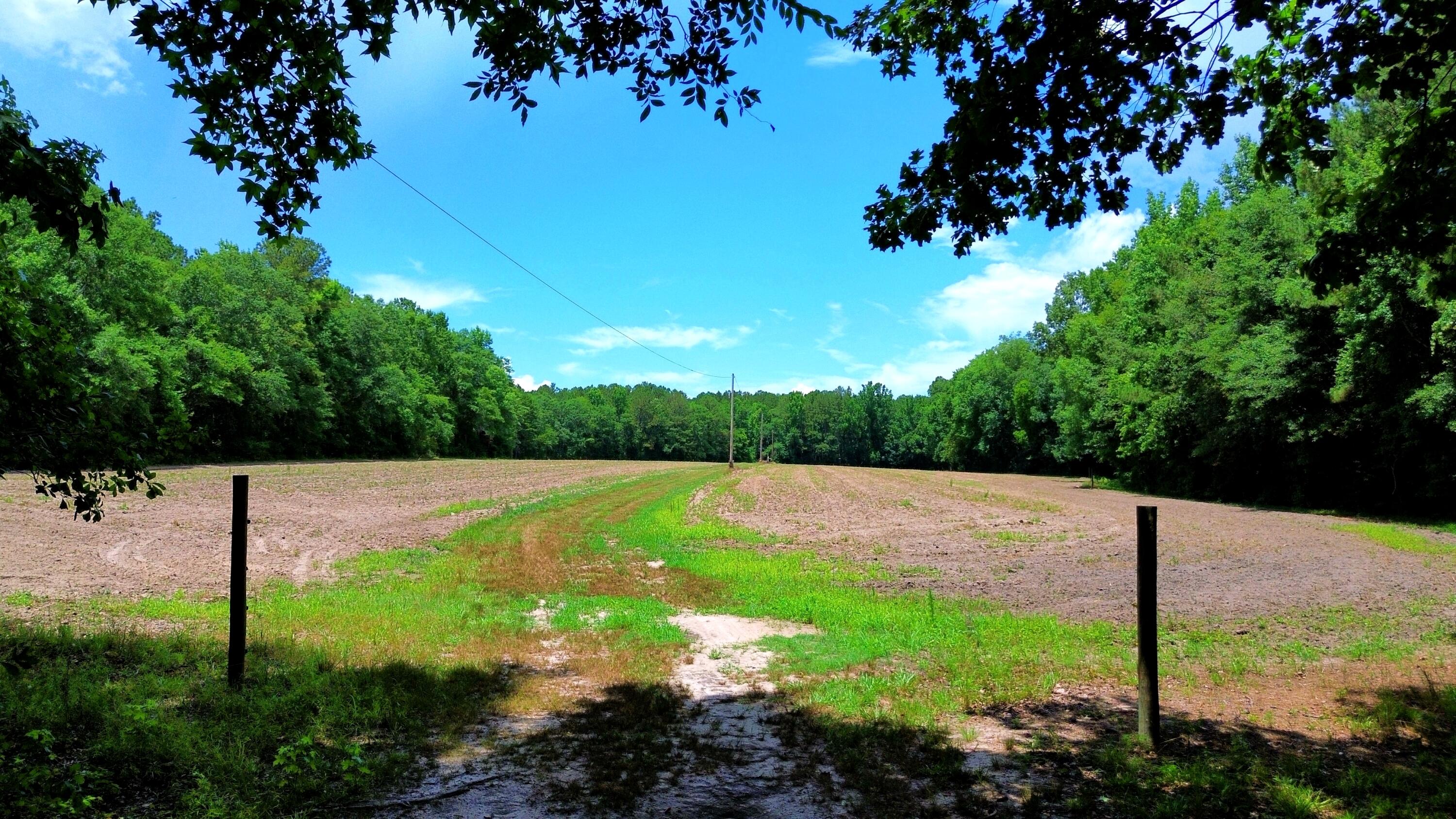 1970 Cross Swamp Road Islandton, SC 29929 - Photo 132 of 150