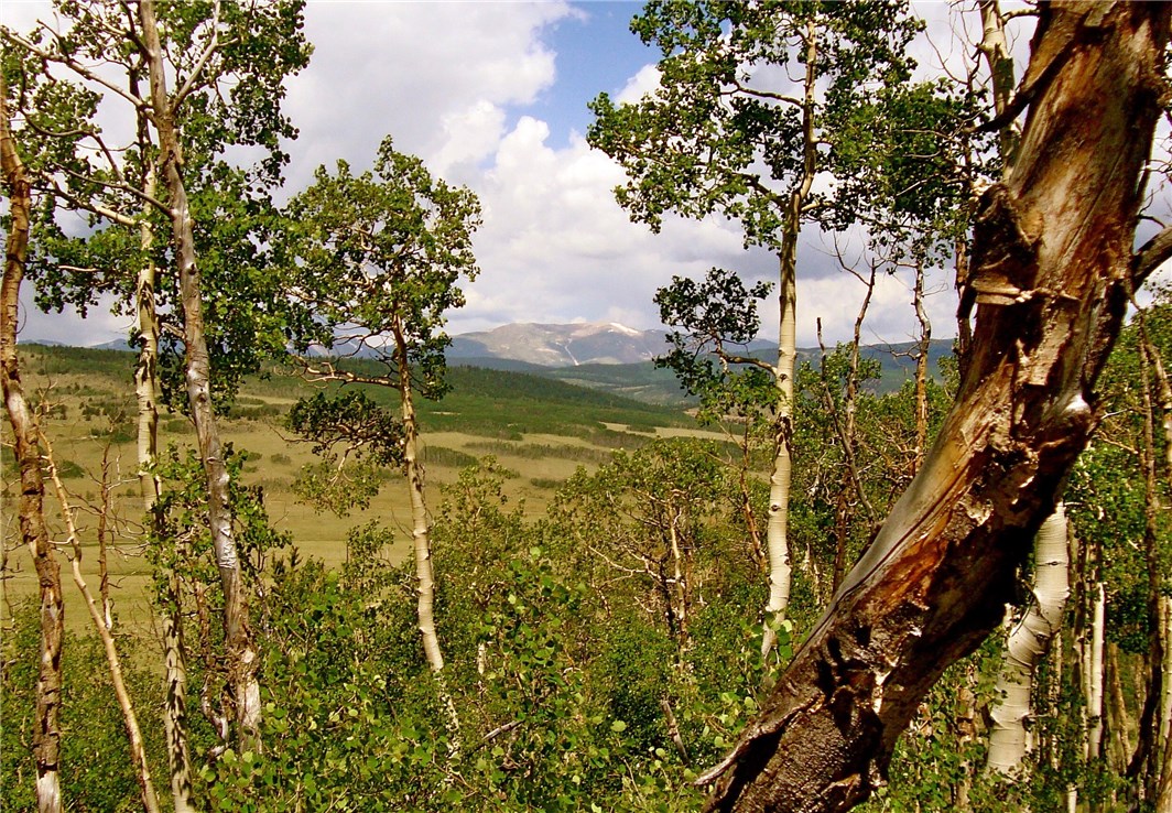 2327 Gap Road Fairplay, CO 80440 - Photo 1 of 8 Gallery Image 1