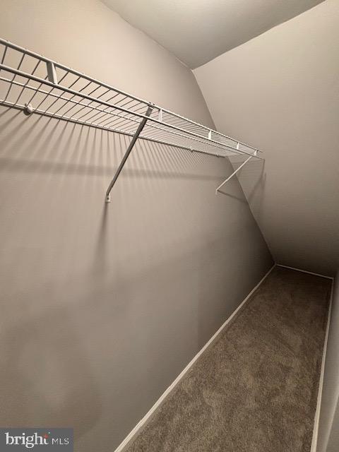 7912 Riggs Road Hyattsville, MD 20783 - Photo 35 of 40 Spacious Basement Bedroom walk-in closet space