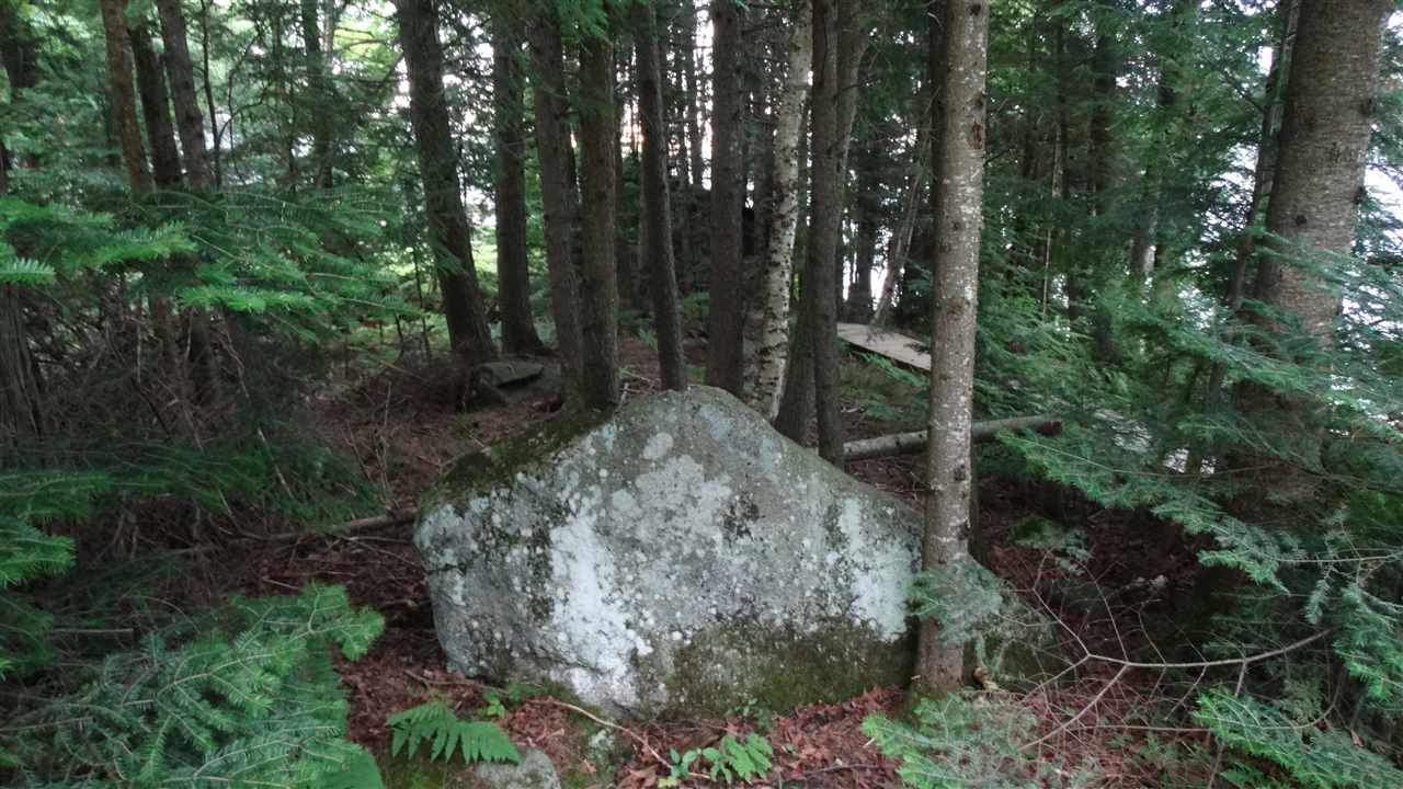 93 Buzzell Road East Morgan, VT 05853 - Photo 14 of 40