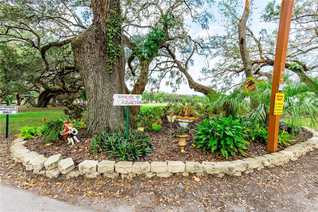 37332 Sandra Avenue Zephyrhills, FL 33542 - Photo 54 of 59 Gallery Image 54