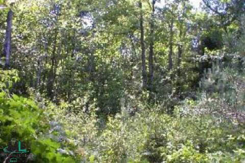 0 Ridge Road Applegate, MI 48401 - Photo 1 of 1 887365.JPG