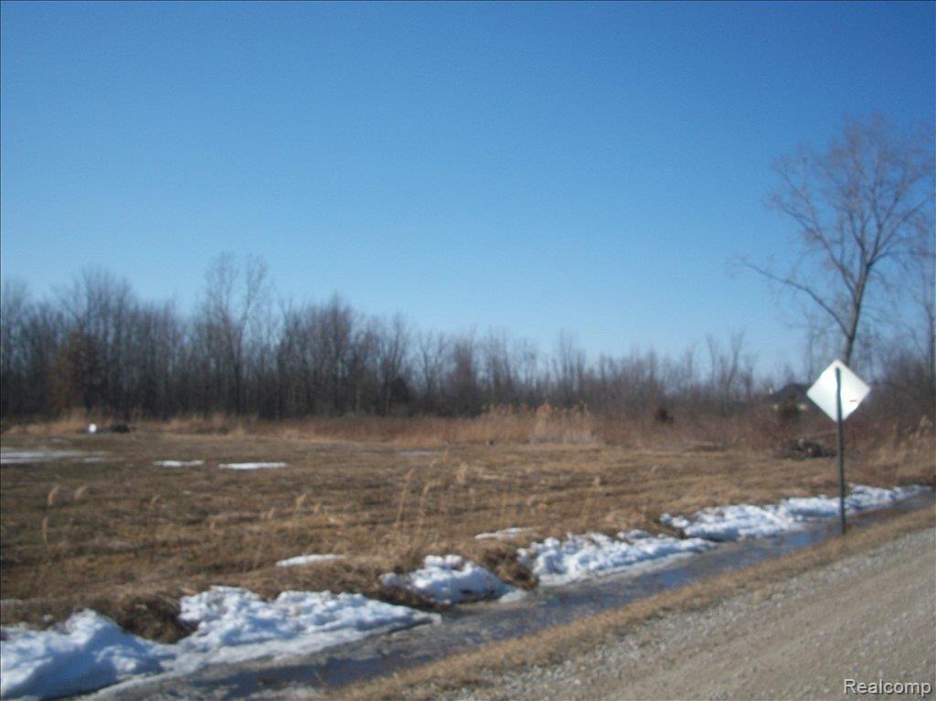 0 Radike Road East China, MI 48054 - Photo 1 of 4 100_5589