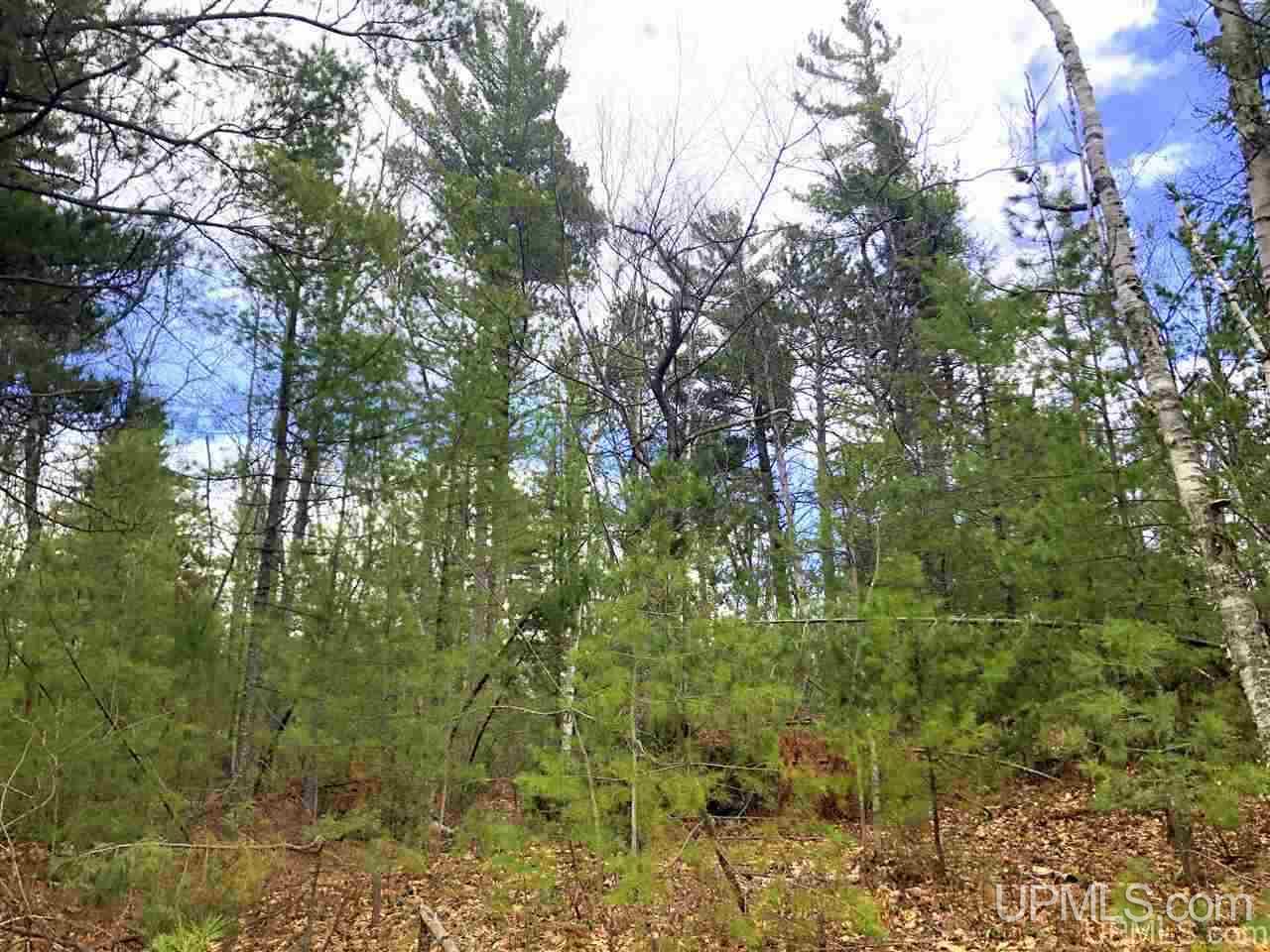 Tbd Valley Road Marquette, MI 49855 - Photo 43 of 59