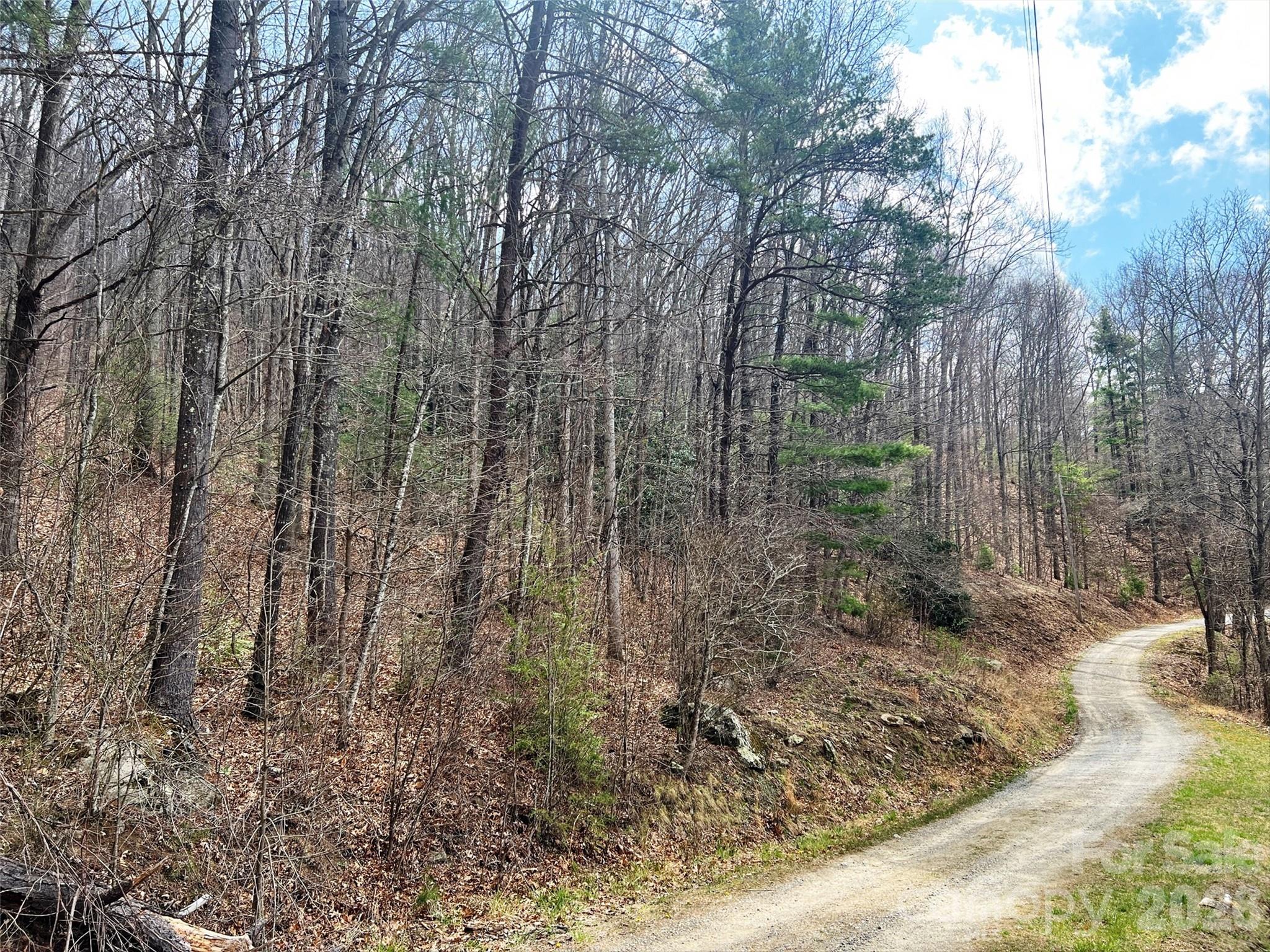 Tbd Moonbeam Lane, Unit 101 102 Clyde, NC 28721 - Photo 14 of 20 a view of a forest filled with trees