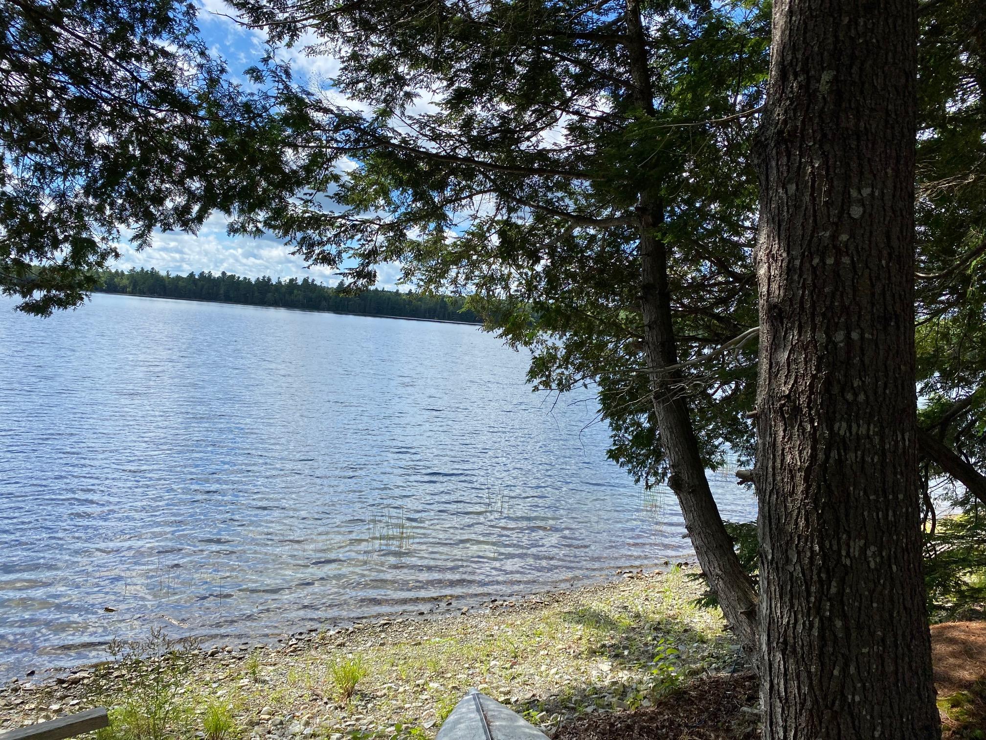Lot 1 Barrows Lake Road Alexander, ME 04694 - Photo 2 of 15 IMG_4199 (1)