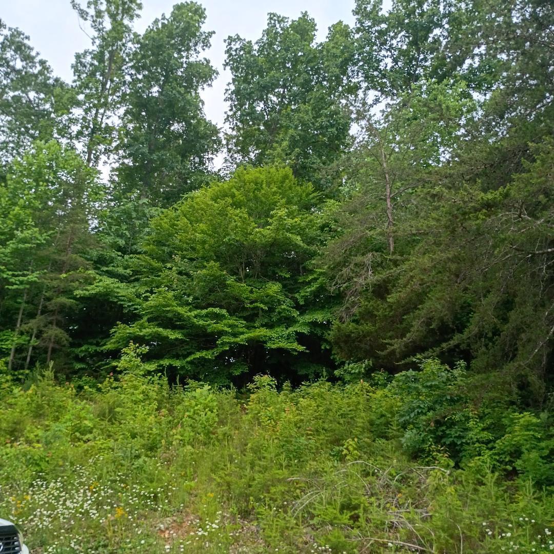 273 South Burke Road Monticello, KY 42633 - Photo 23 of 42 thumbnail 28
