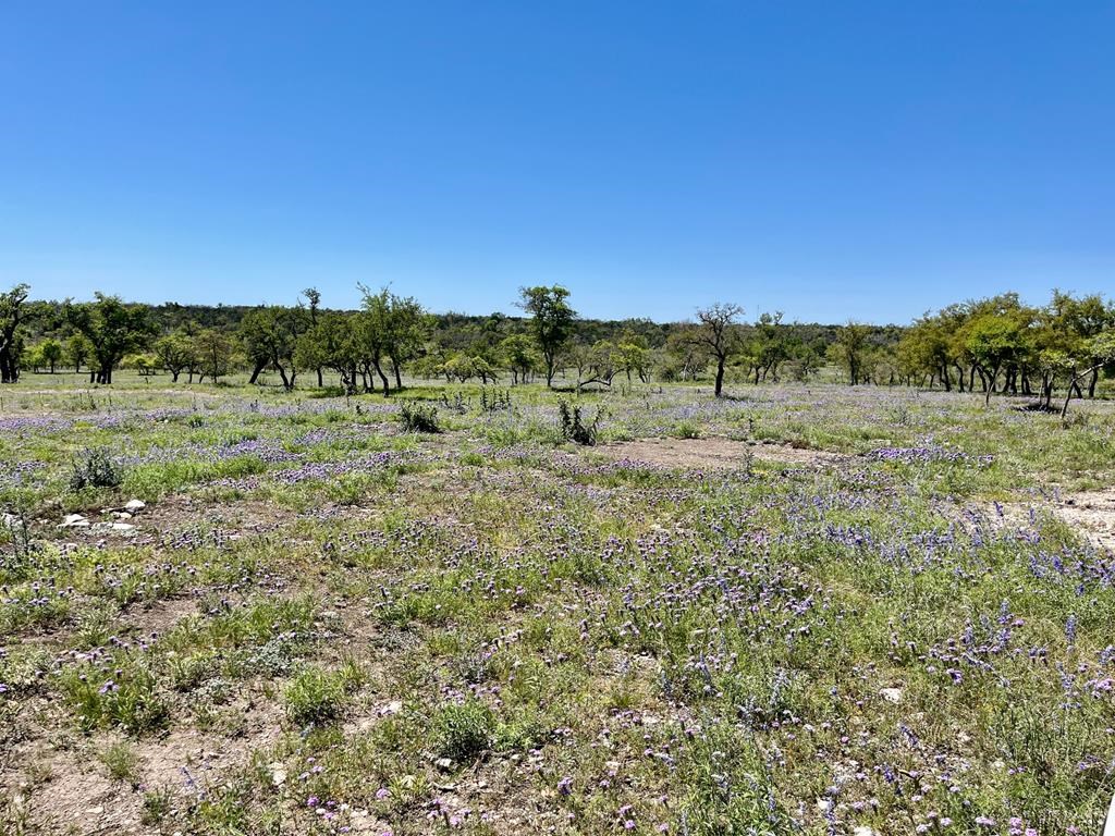 Lot 6 Jung Road, Unit 6 Harper, TX 78631 - Photo 11 of 12
