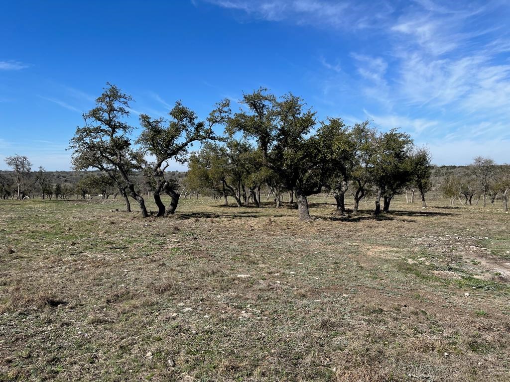 Lot 6 Jung Road, Unit 6 Harper, TX 78631 - Photo 2 of 12
