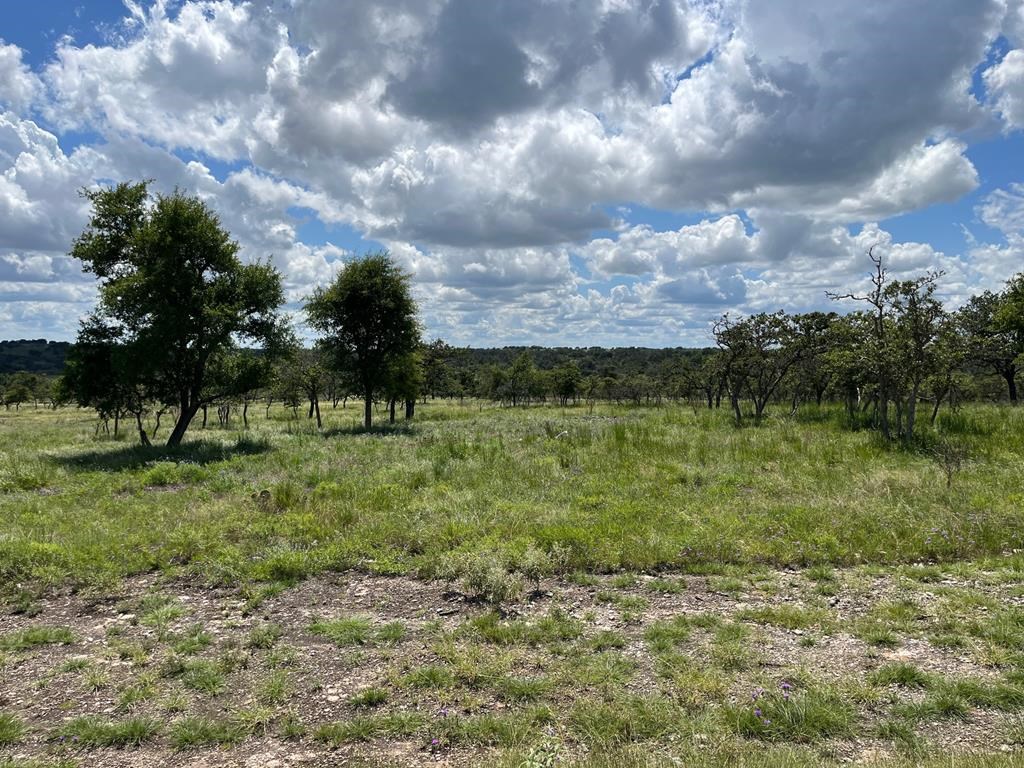 Lot 6 Jung Road, Unit 6 Harper, TX 78631 - Photo 5 of 12