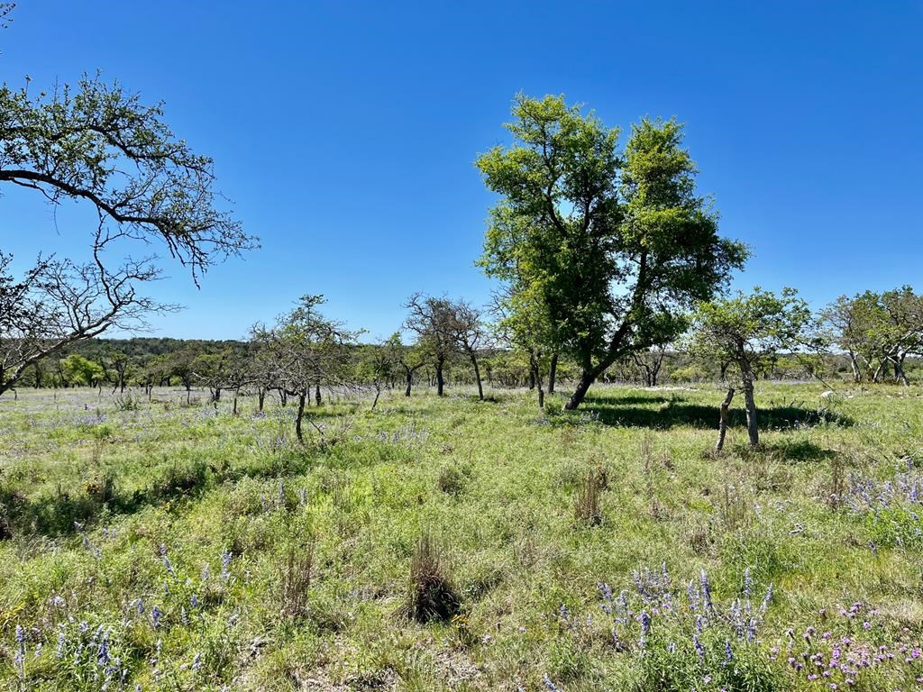 Lot 6 Jung Road, Unit 6 Harper, TX 78631 - Photo 6 of 12