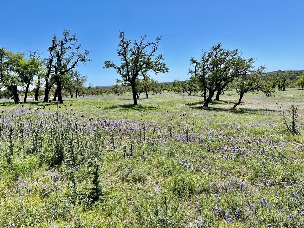 Lot 6 Jung Road, Unit 6 Harper, TX 78631 - Photo 7 of 12