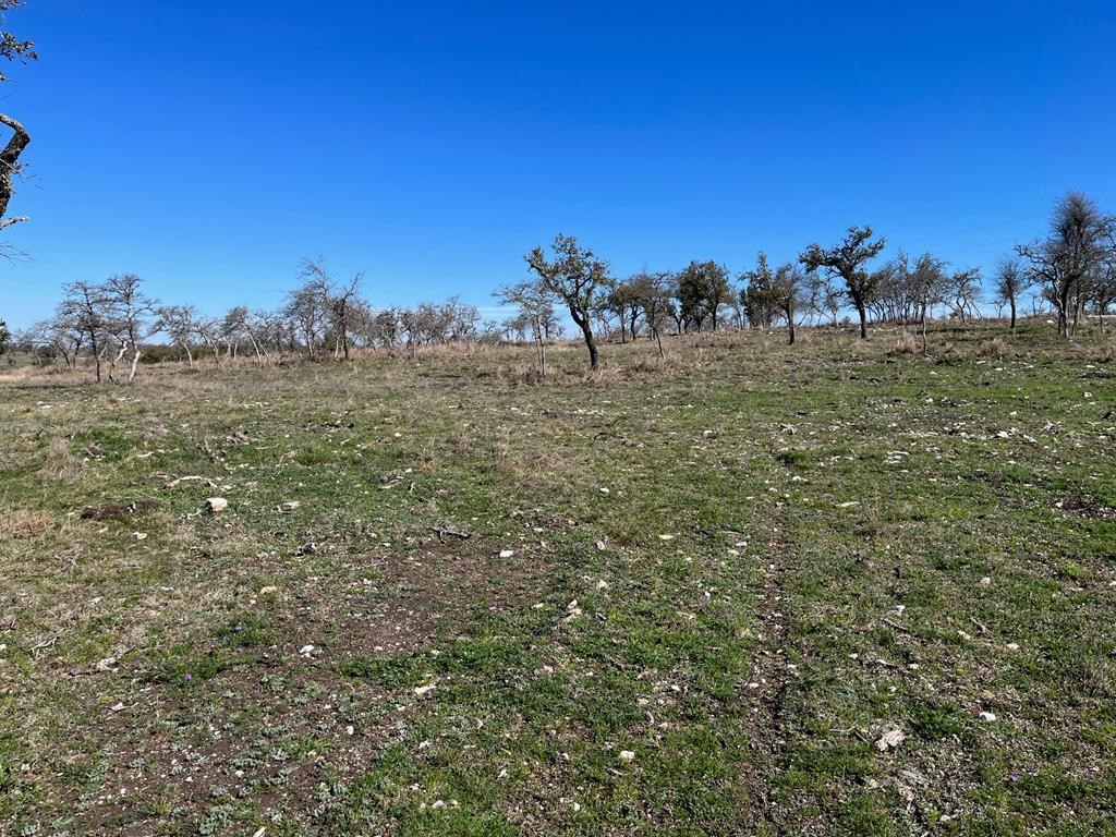 Lot 6 Jung Road, Unit 6 Harper, TX 78631 - Photo 9 of 12