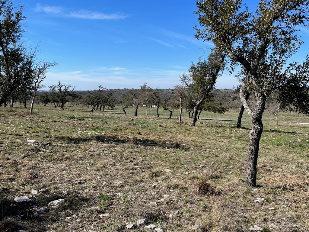 Lot 6 Jung Road, Unit 6 Harper, TX 78631 - Photo 10 of 12
