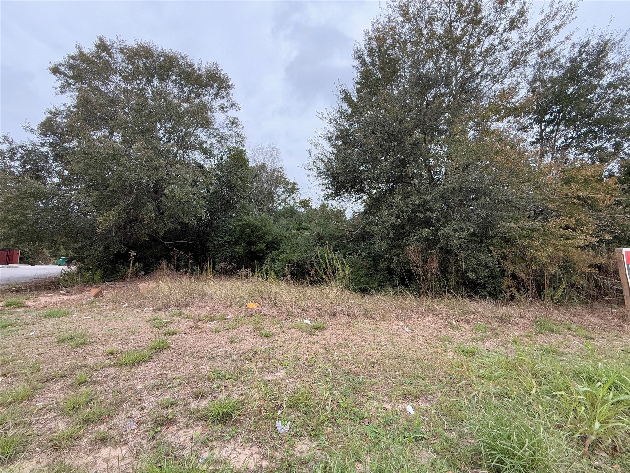 Tbd Randolph Street Houston, TX 77075 - Photo 3 of 3 a view of mountain view with trees