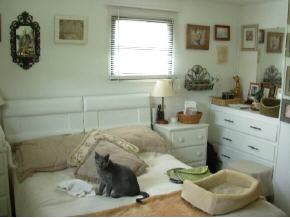 283 Rockefeller Road Richford, NY 13835 - Photo 7 of 12 Gallery Image 7