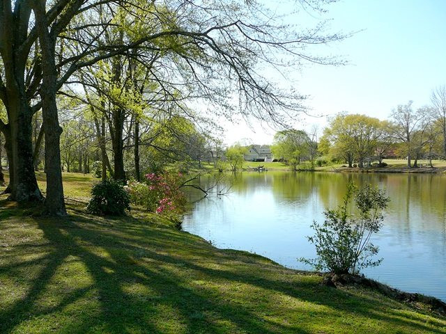 917 Windrow Lane Raleigh, NC 27603 - Photo 22 of 25 Pond