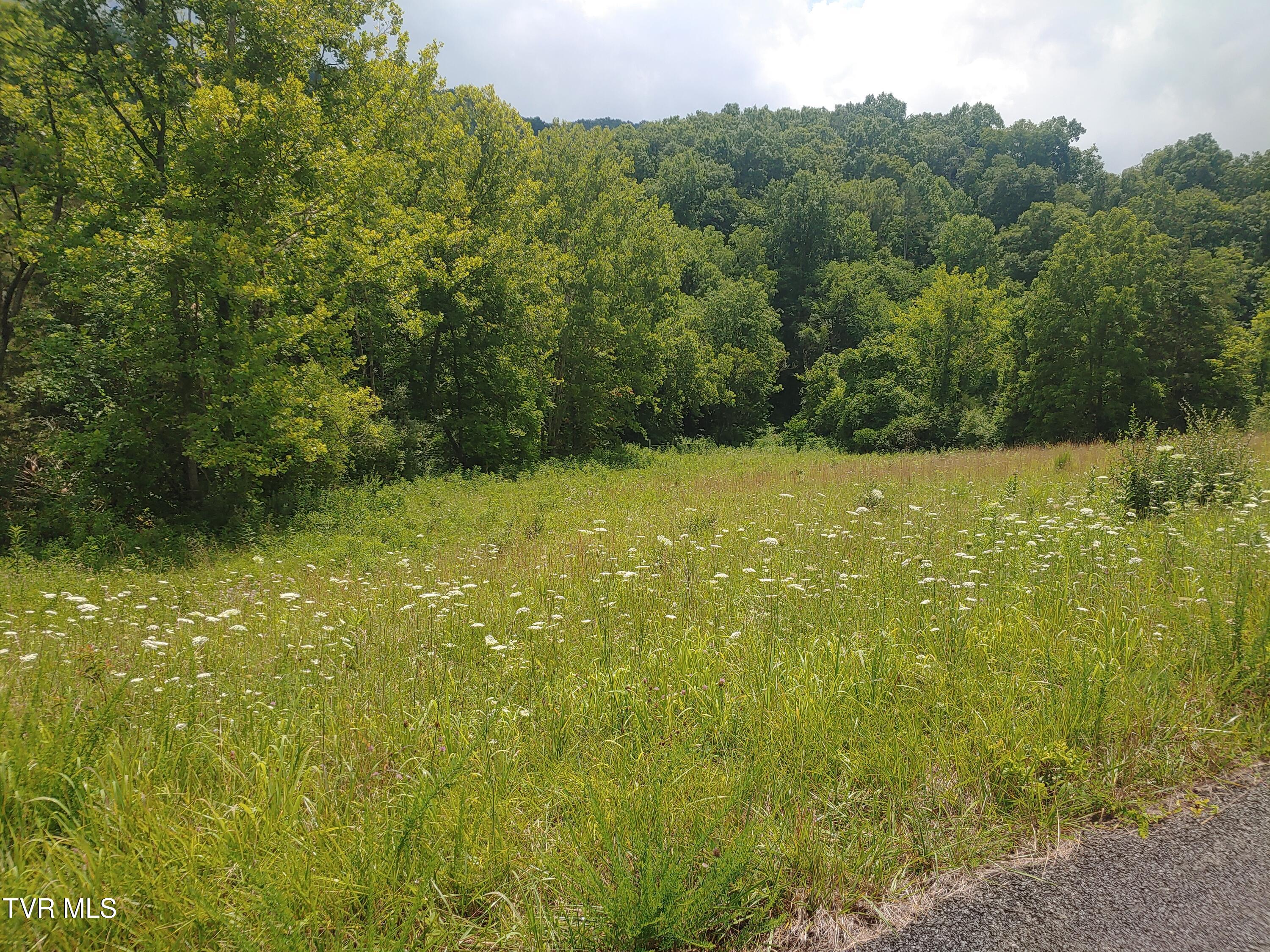 0 War Creek Road Eidson, TN 37731 - Photo 3 of 12 0705261410b