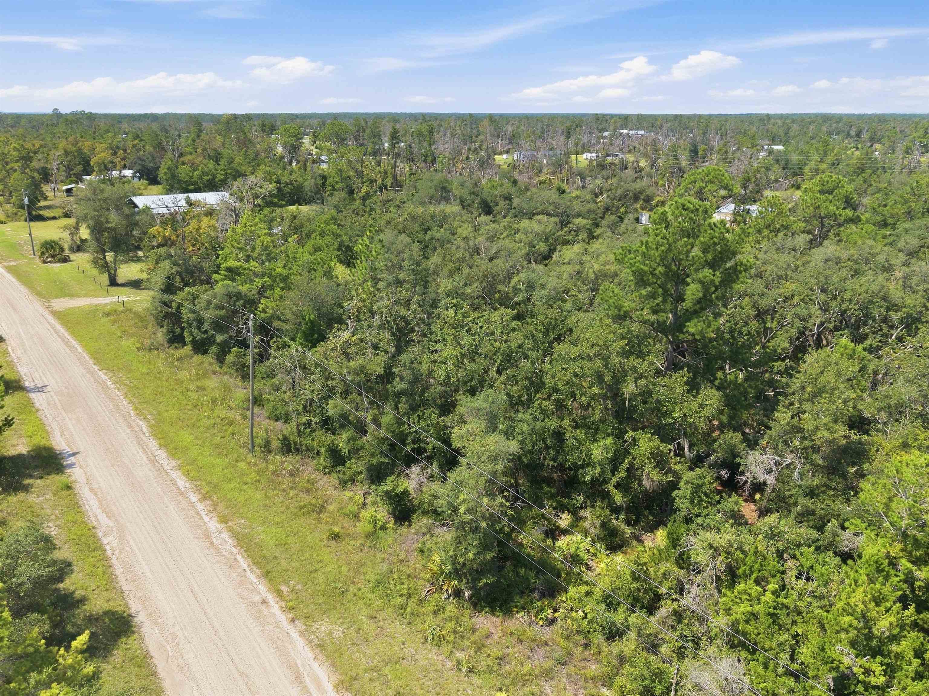 East Vacant Royal Oak Drive Road Perry, FL 32348 - Photo 25 of 26 Gallery Image 25