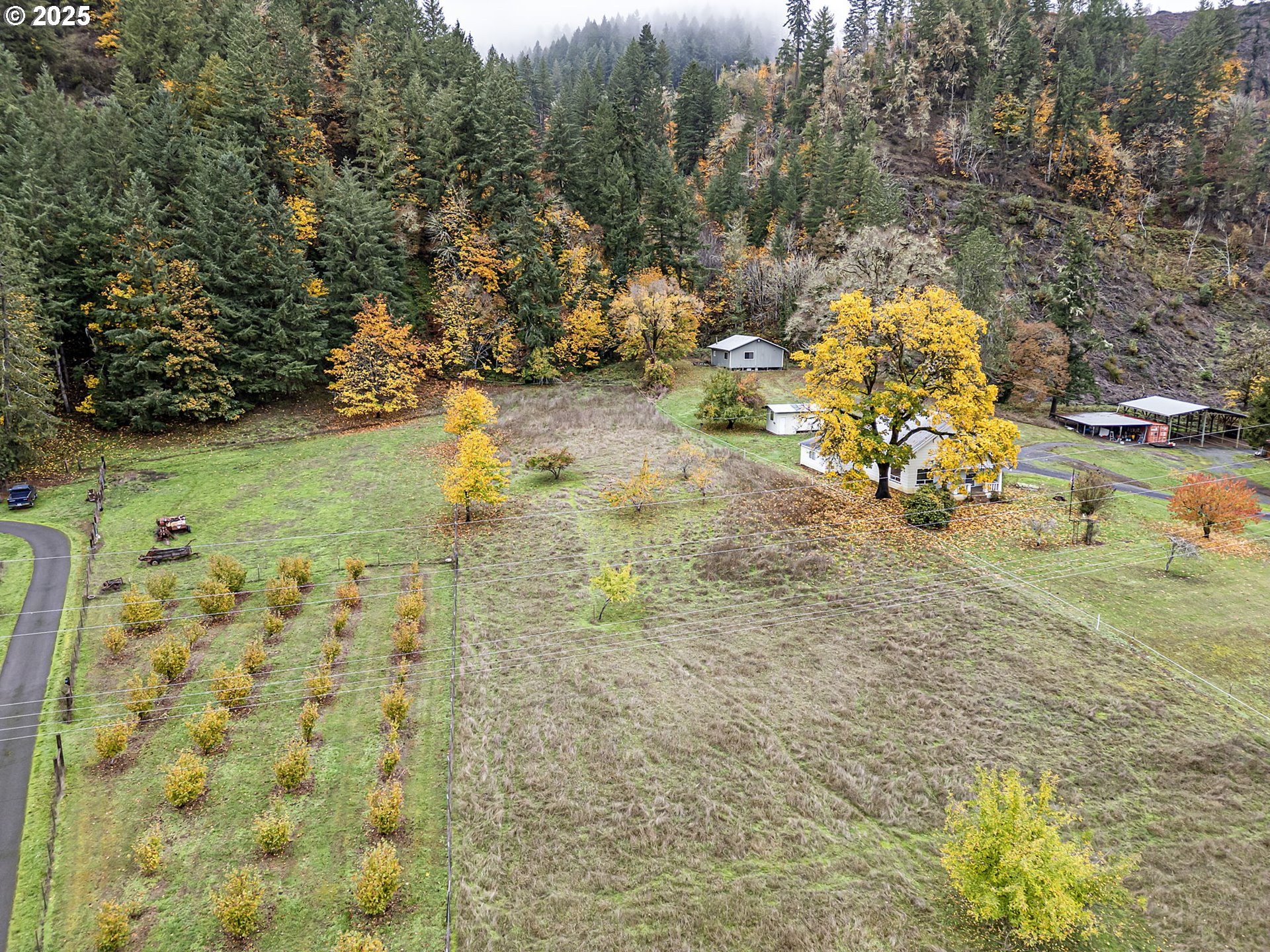 27403 Highway 38 Elkton, OR 97436 - Photo 5 of 48