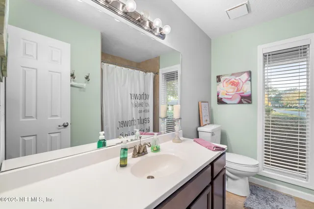 a view of a park that has large trees