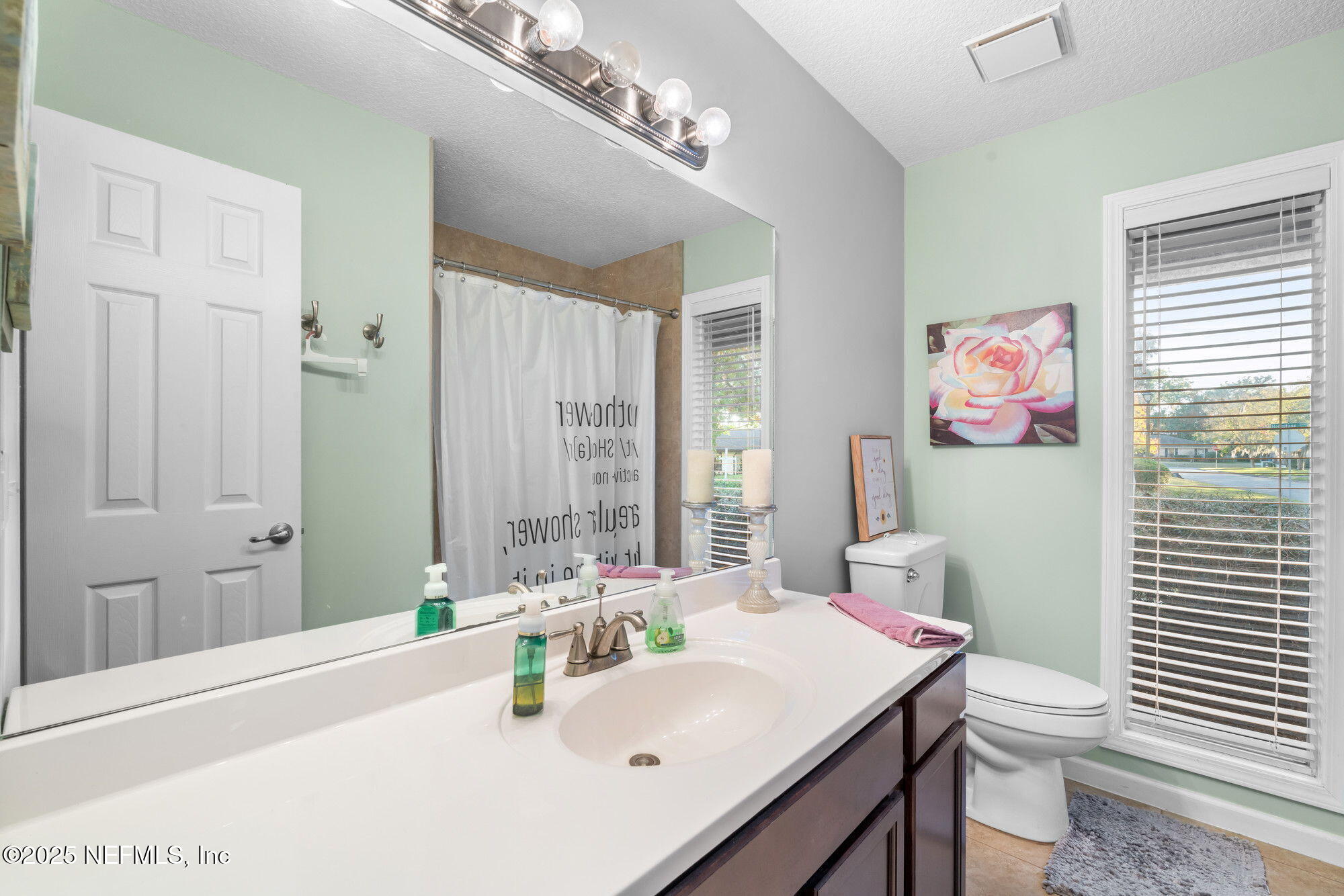 3301 Hermitage Road East Jacksonville, FL 32277 - Photo 30 of 49 a bathroom with a sink a toilet a mirror and shower curtain