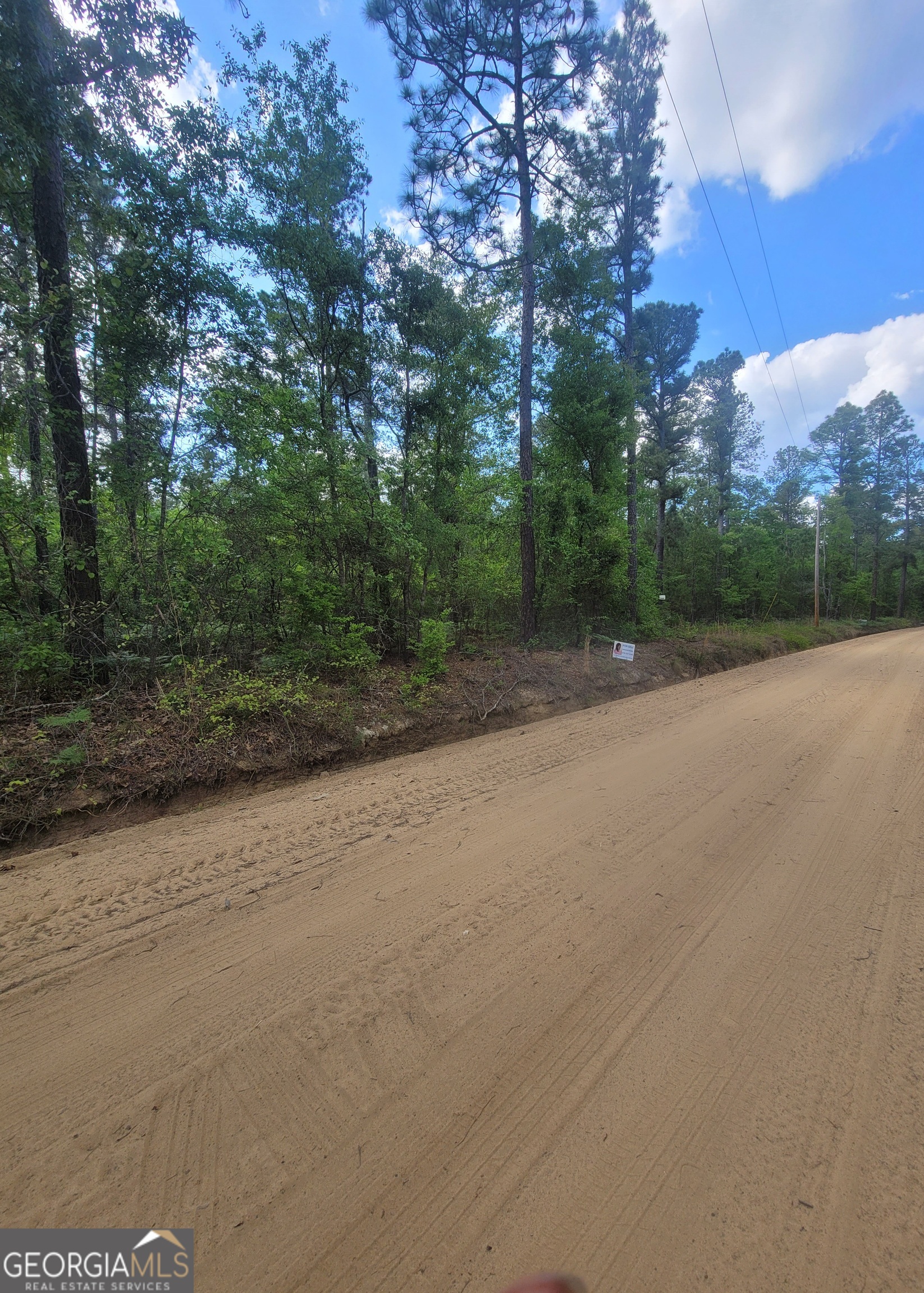 0 Busby Road Statesboro, GA 30461 - Photo 3 of 5